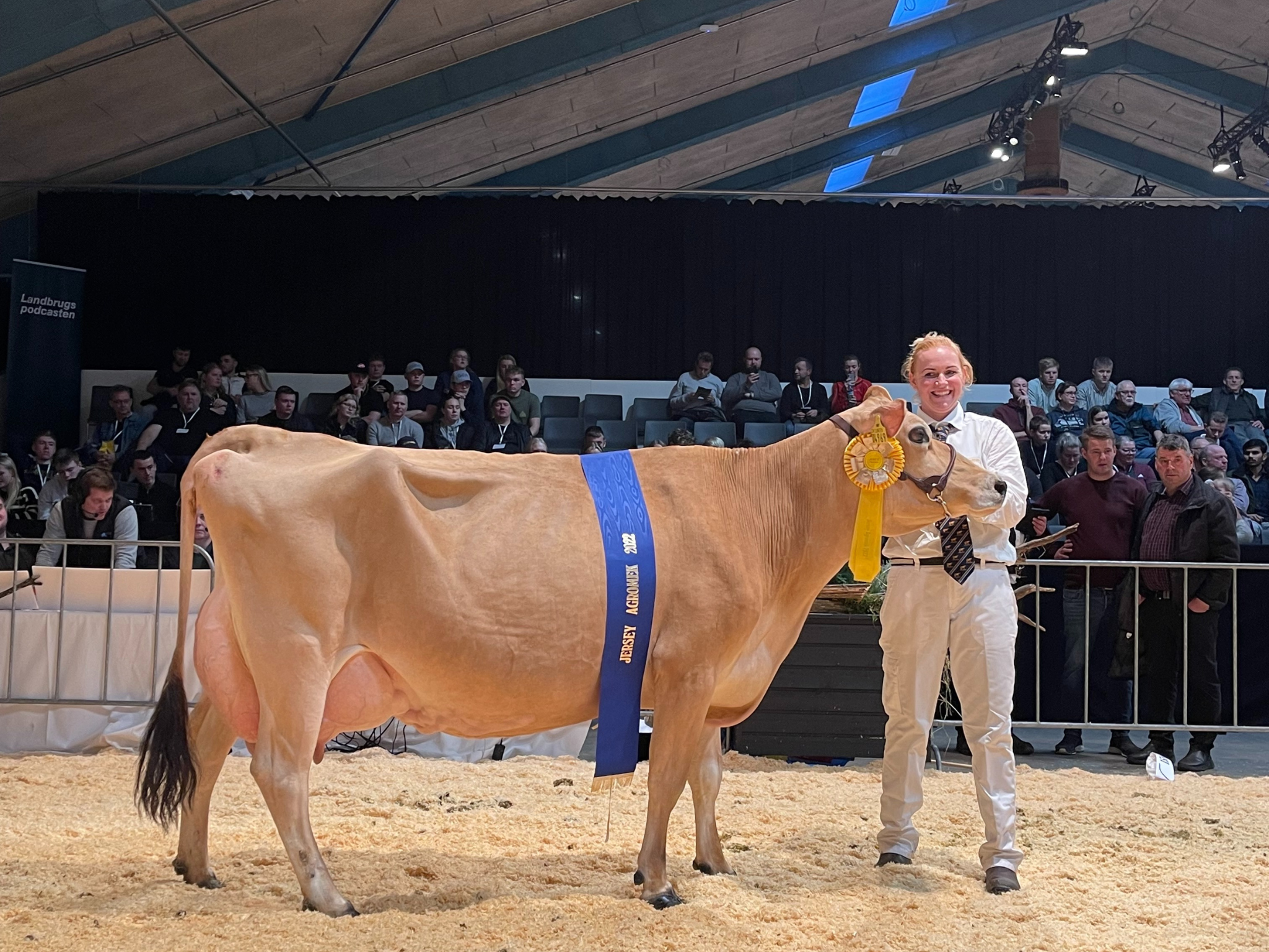 Untitled Design (98)