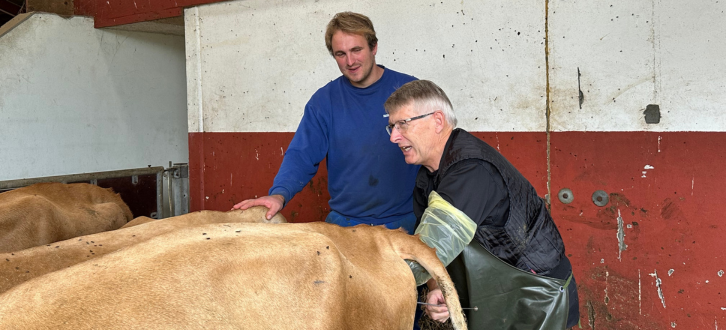 Drømmen Har Altid Været