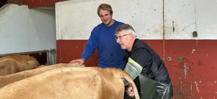 Drømmen Har Altid Været