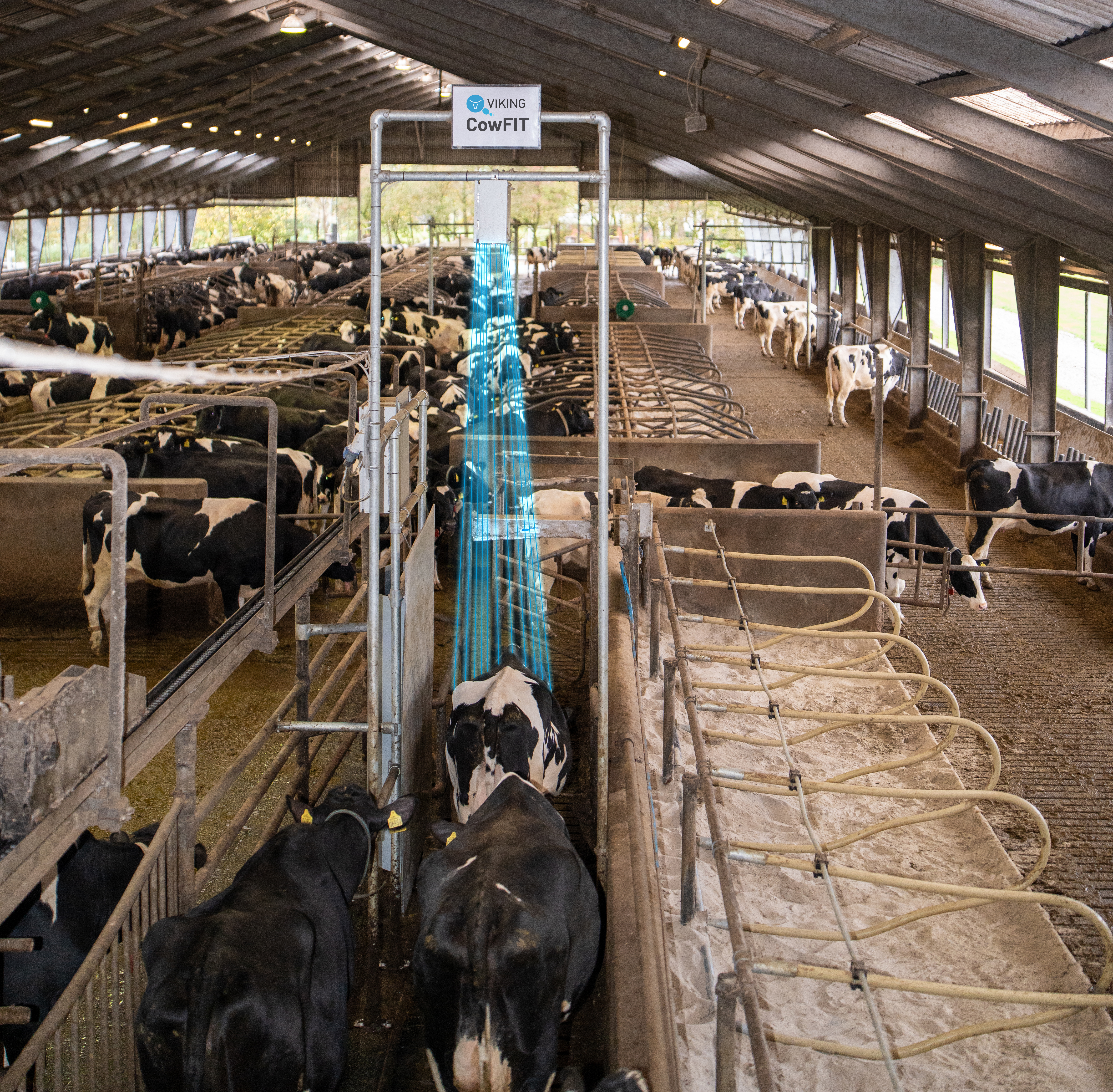 CowFIT scanner køer i stalden