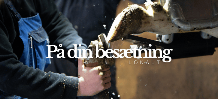 Klovkursus På Din Besætning