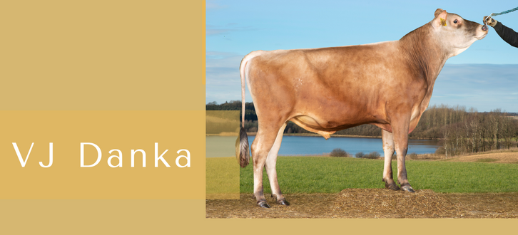 Kopi Af ARTICLE ENTRY TYR (2)