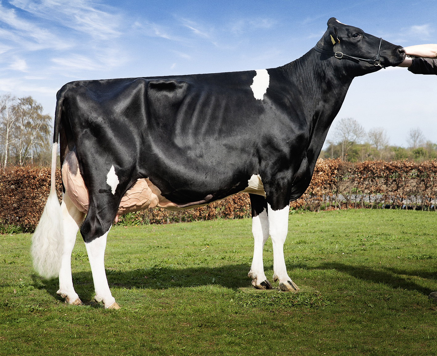 VH Clark1 Side 14 Vikingnyt 2 2021