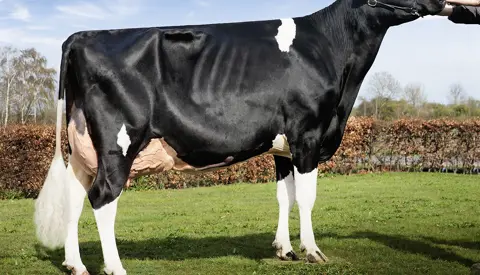 VH Clark1 Side 14 Vikingnyt 2 2021