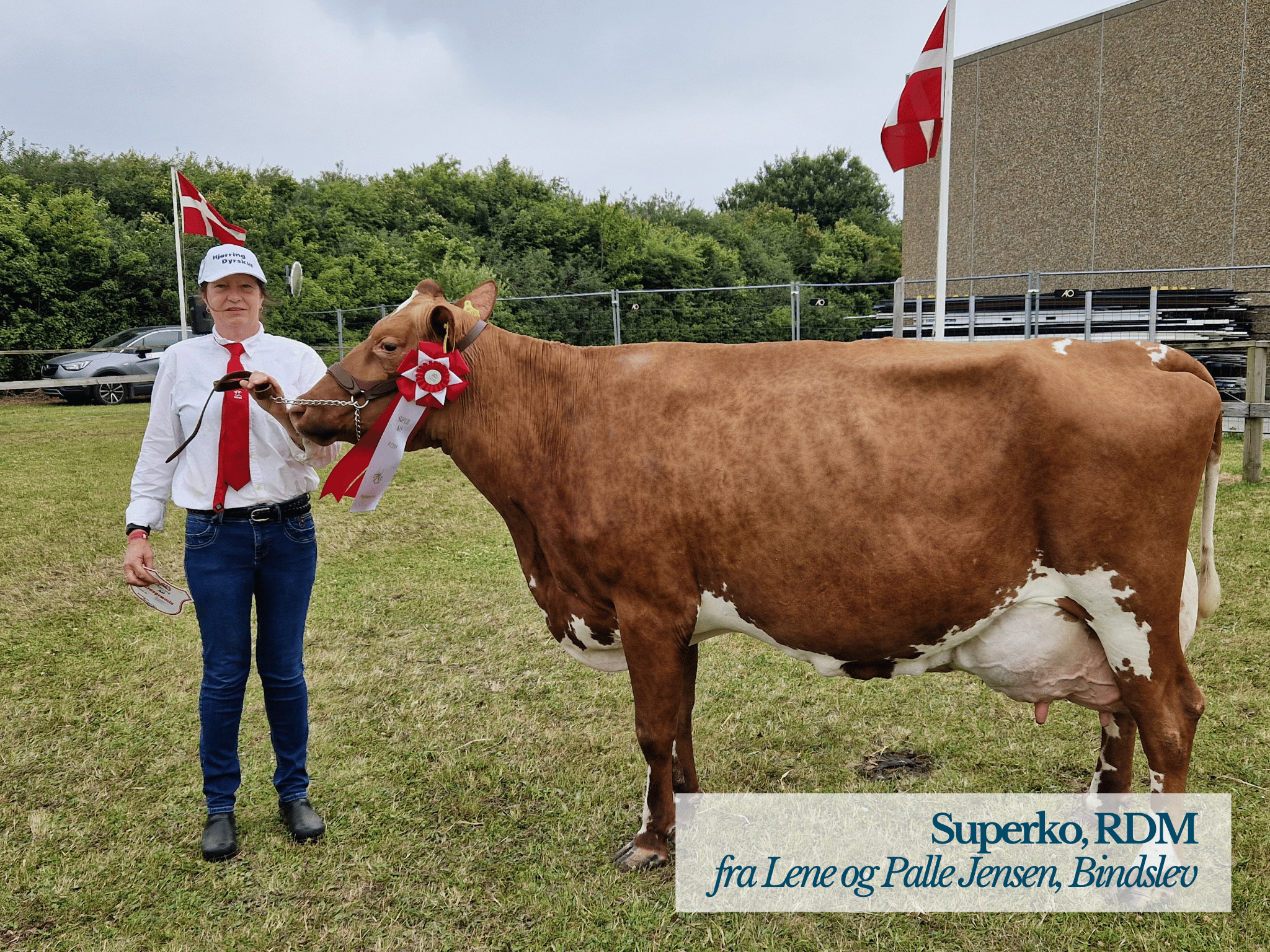 Superko RDM, Hjørring Dyrskue