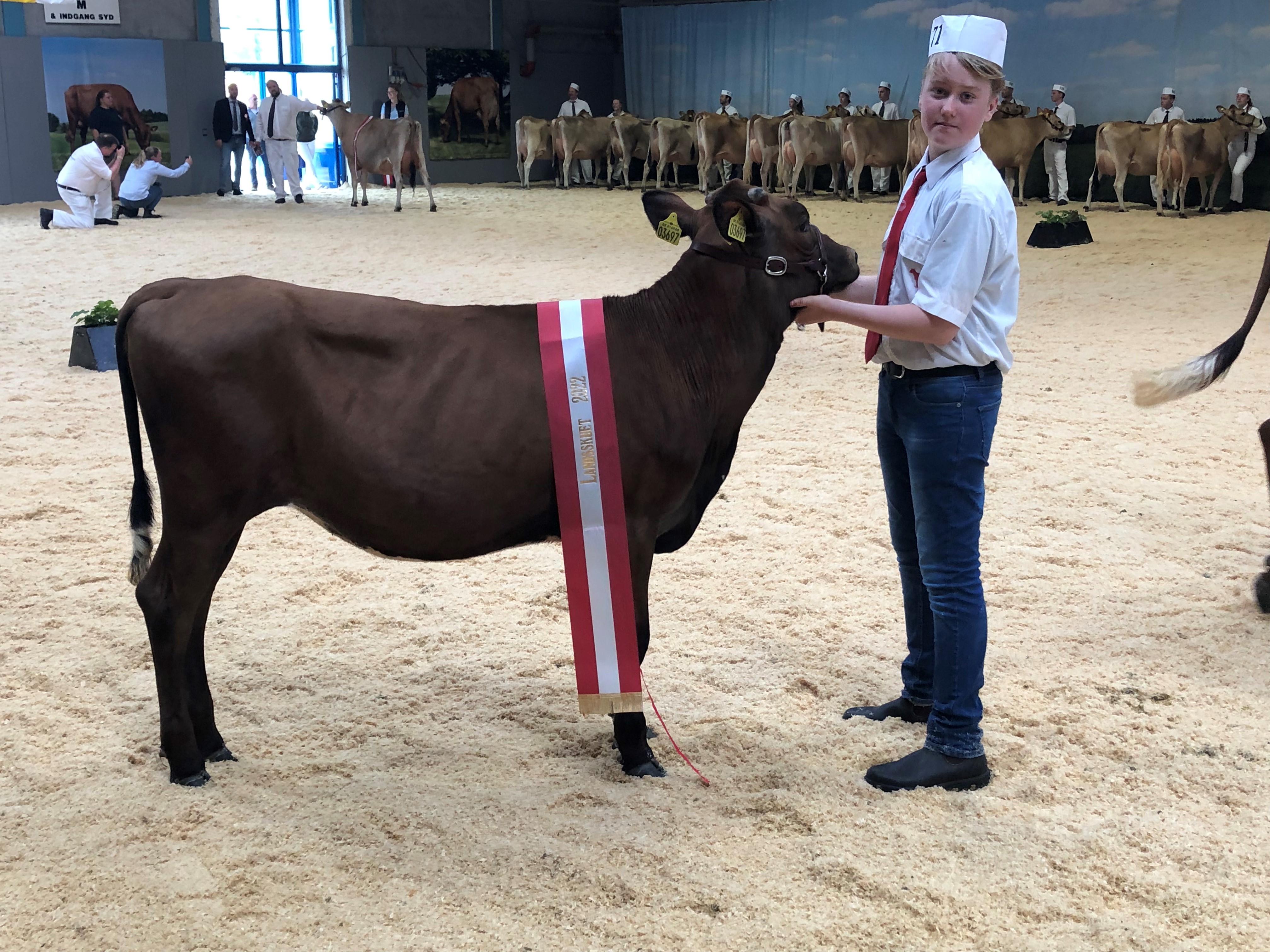 Bedste Kvie RDM, Simon Vest Hansen