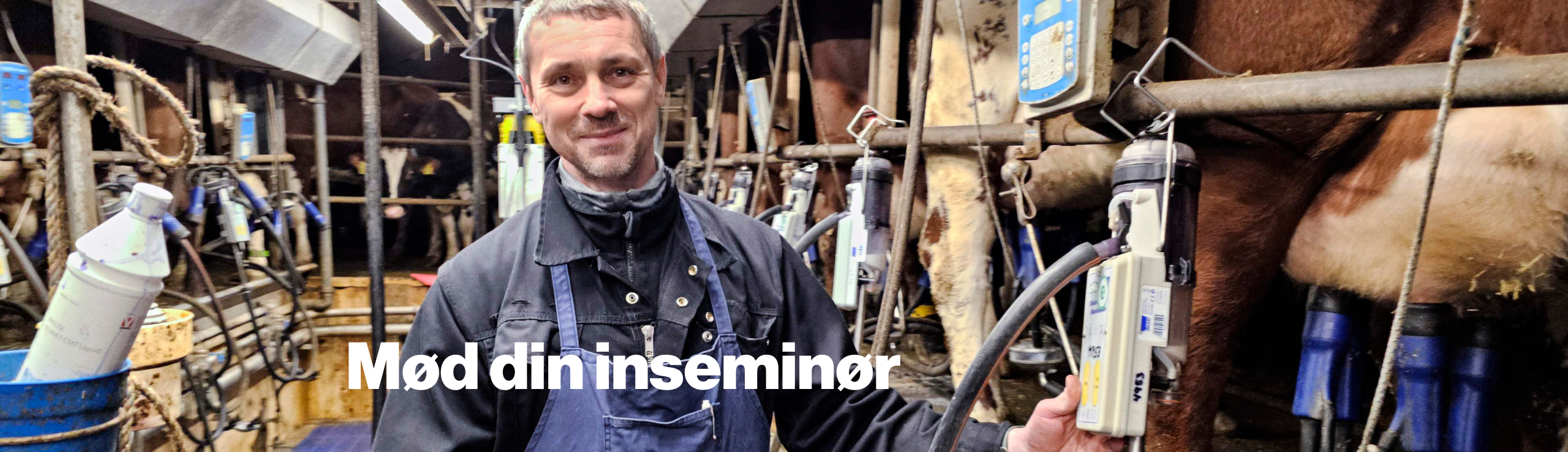 Inseminør Rafal Der Tjekker Måler