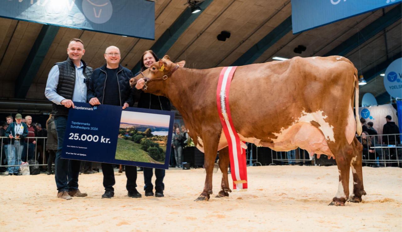 Salgschef I Topdanmark, Jesper Clausen, Overrækker Præmien På 25.000 Kr. Fra Topdanmark Til Vinderkoen Fra Lene Og Palle Bæk Jensen