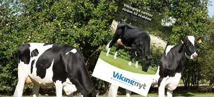 Vikingnyt Maj 2020