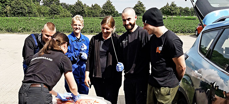 Billeder Fra Jan Red Srgb Web Oversigt