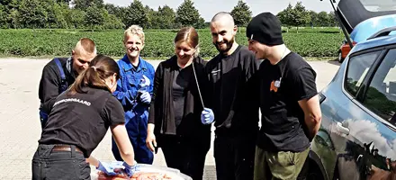 Billeder Fra Jan Red Srgb Web Oversigt