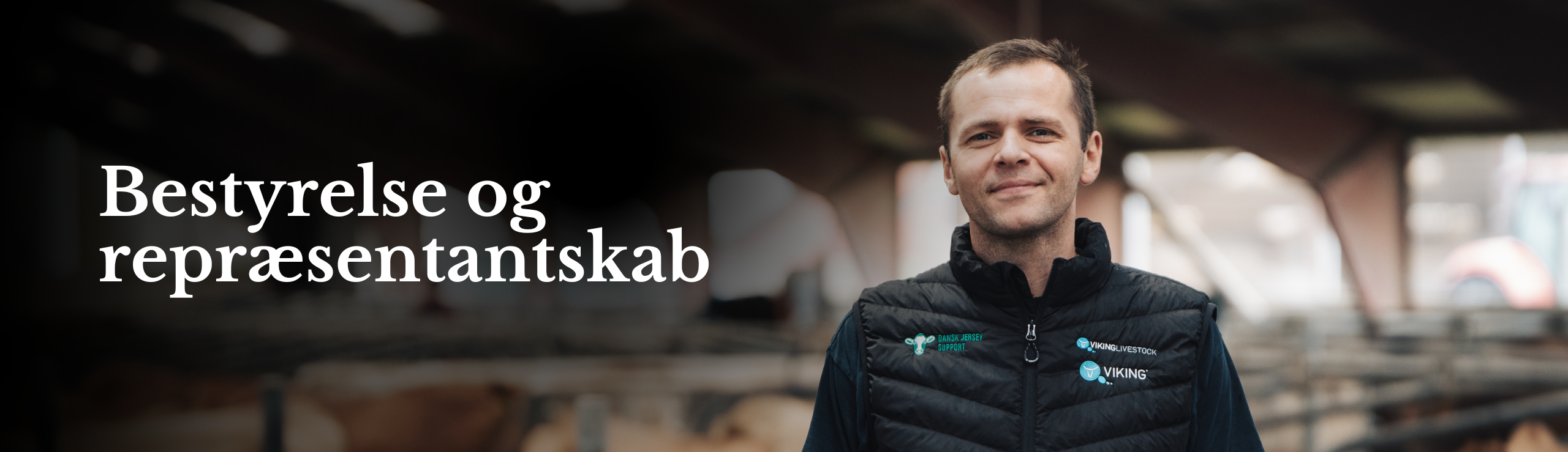 Bestyrelse Og Repræsentantskab