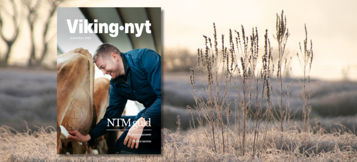 Forsiden Af Vikingnyt November På Naturbaggrund