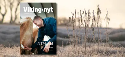 Forsiden Af Vikingnyt November På Naturbaggrund