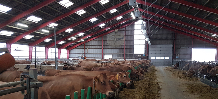 20171129 105638 Forside