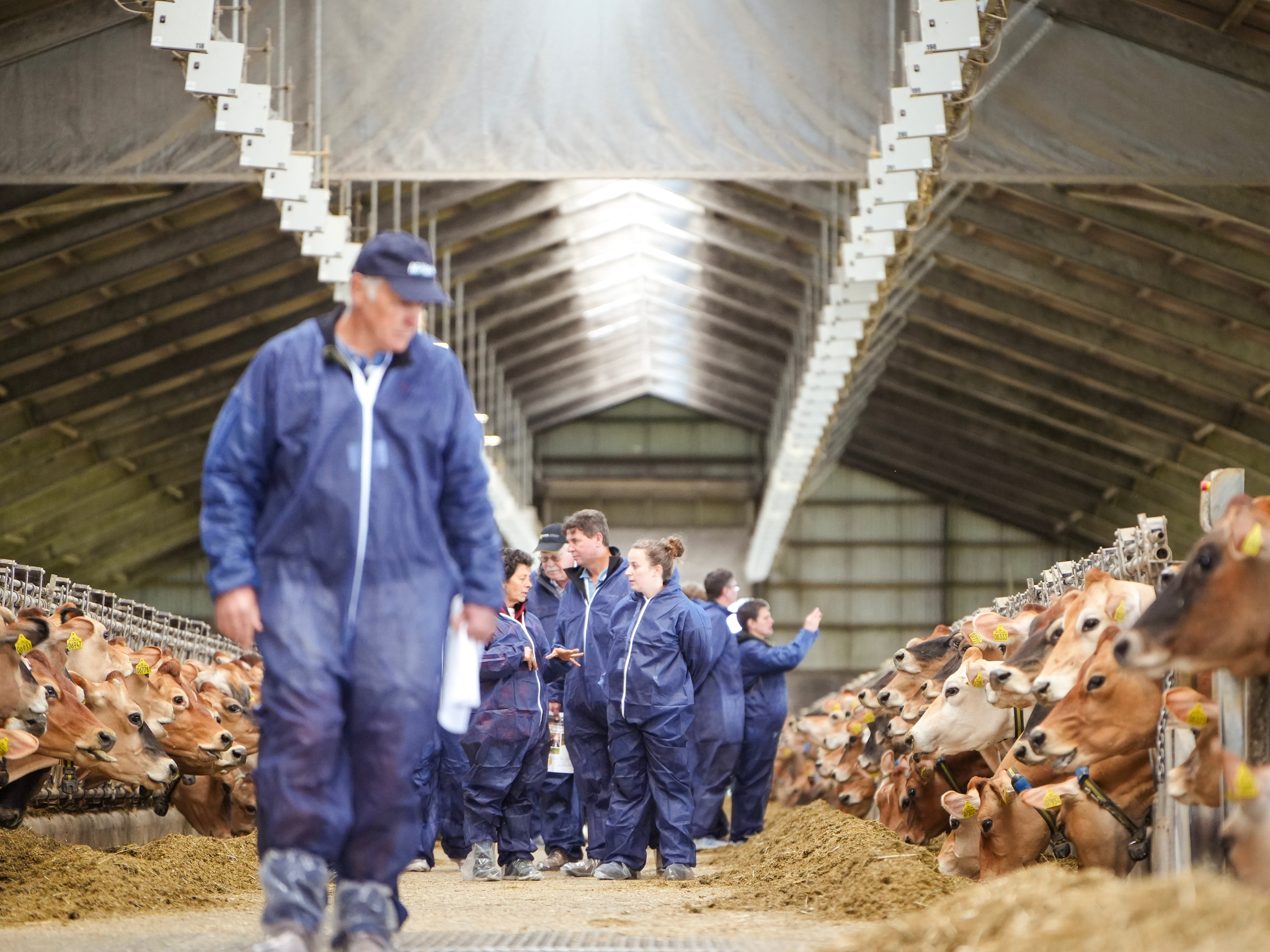 Jersey Verdenskongres 47