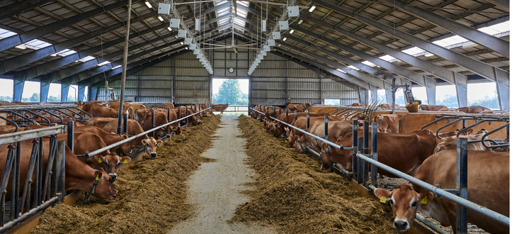 Design Uden Navn (2)