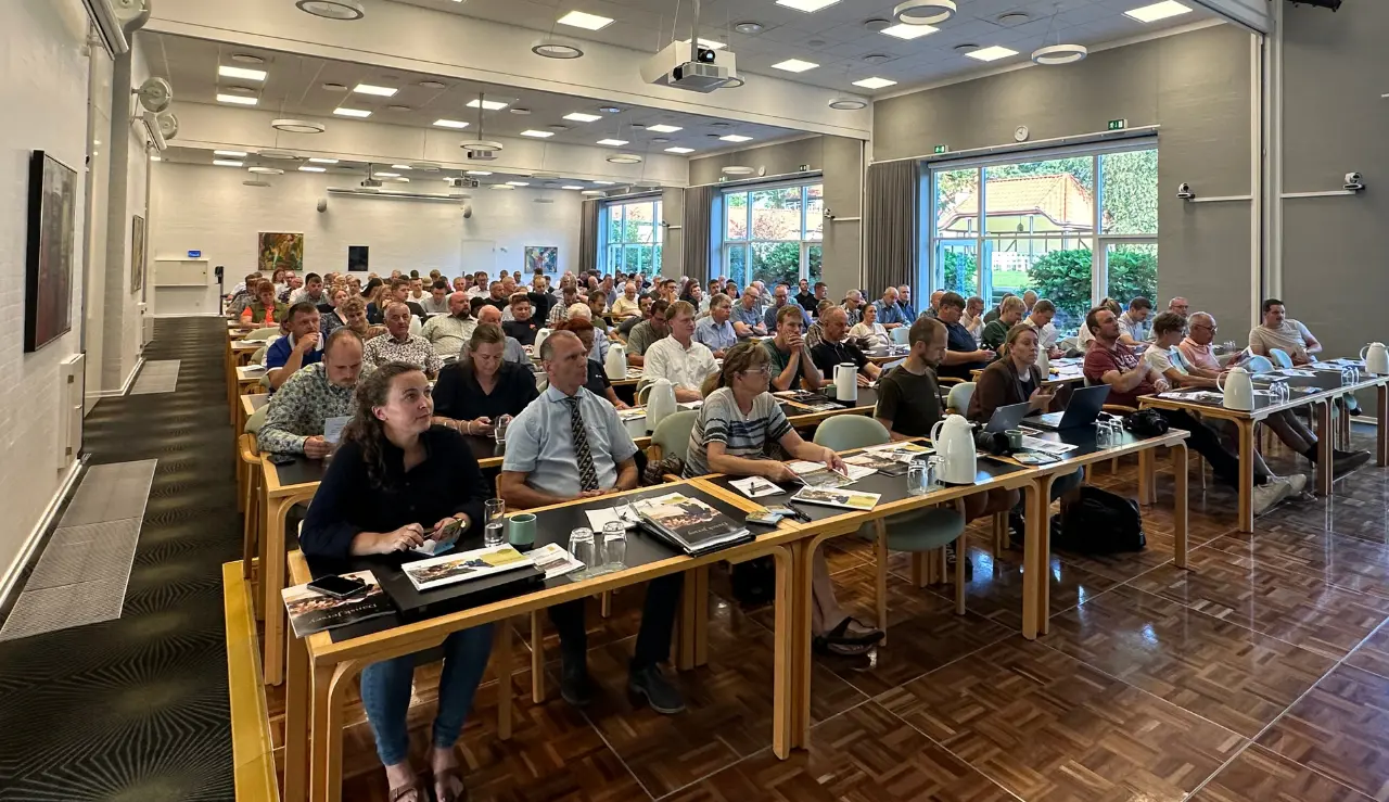 De Tilhørende Ved Jersey Årsmødet