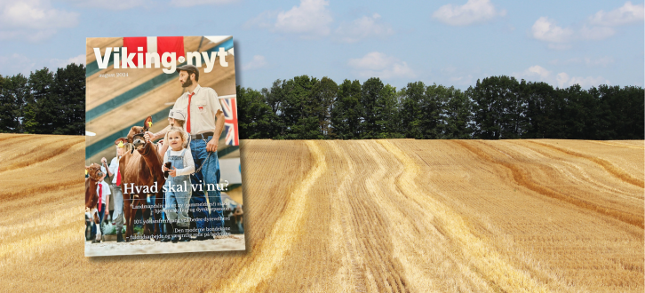 Forsiden Af Vikingnyt August 2024 På Stubmark
