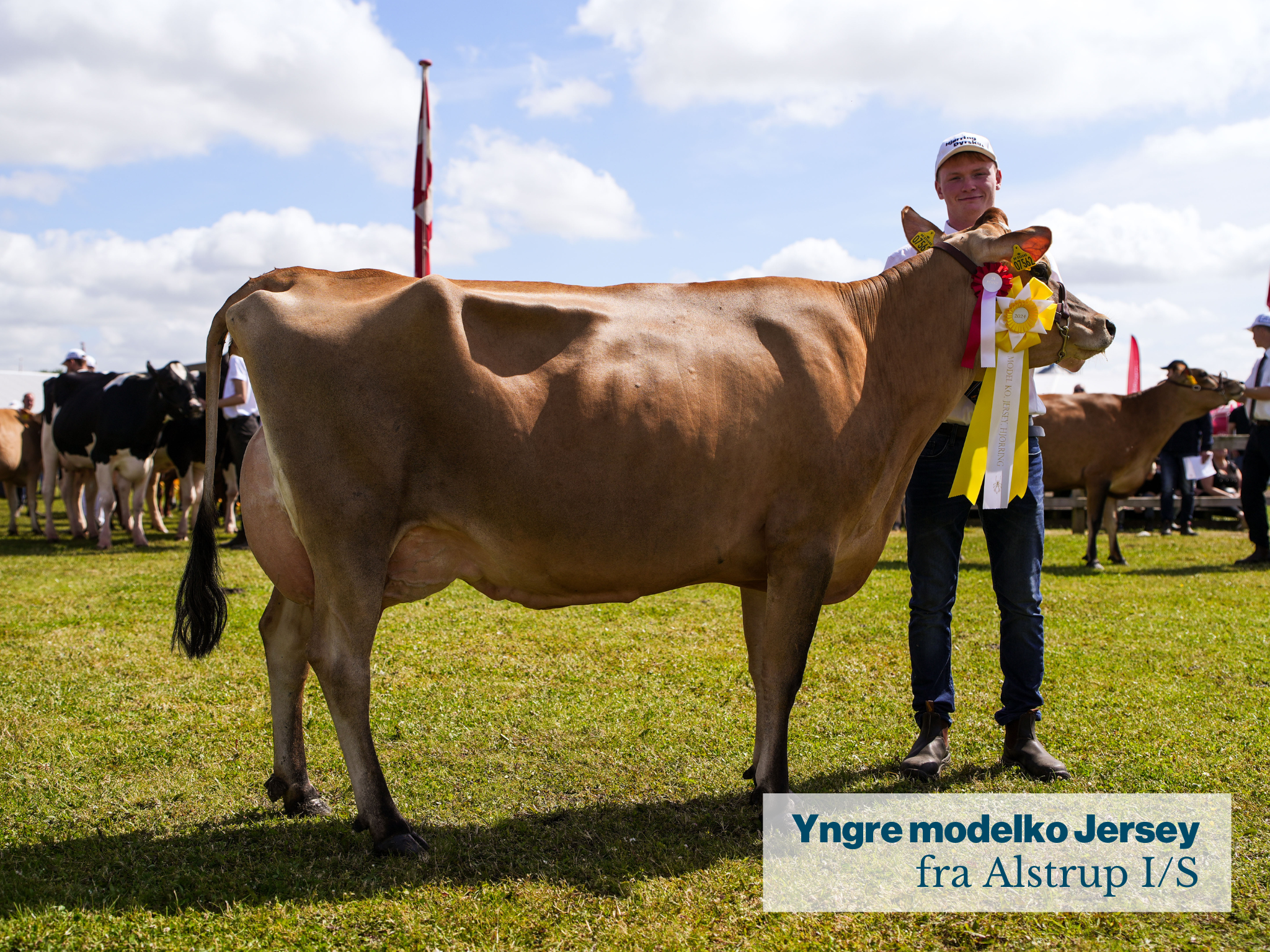 Yngre Modelko Jersey