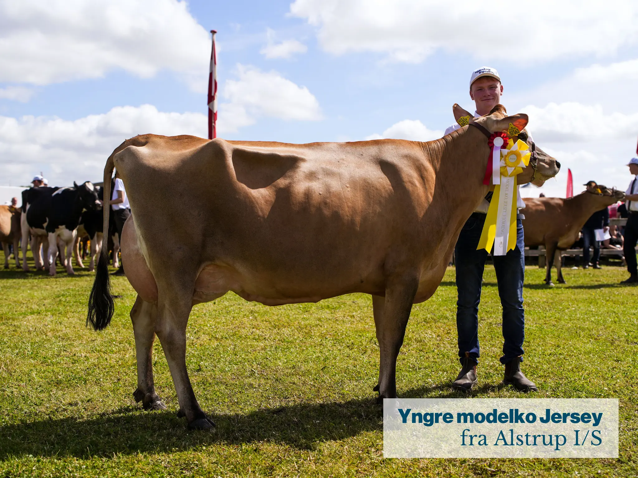 Yngre Modelko Jersey