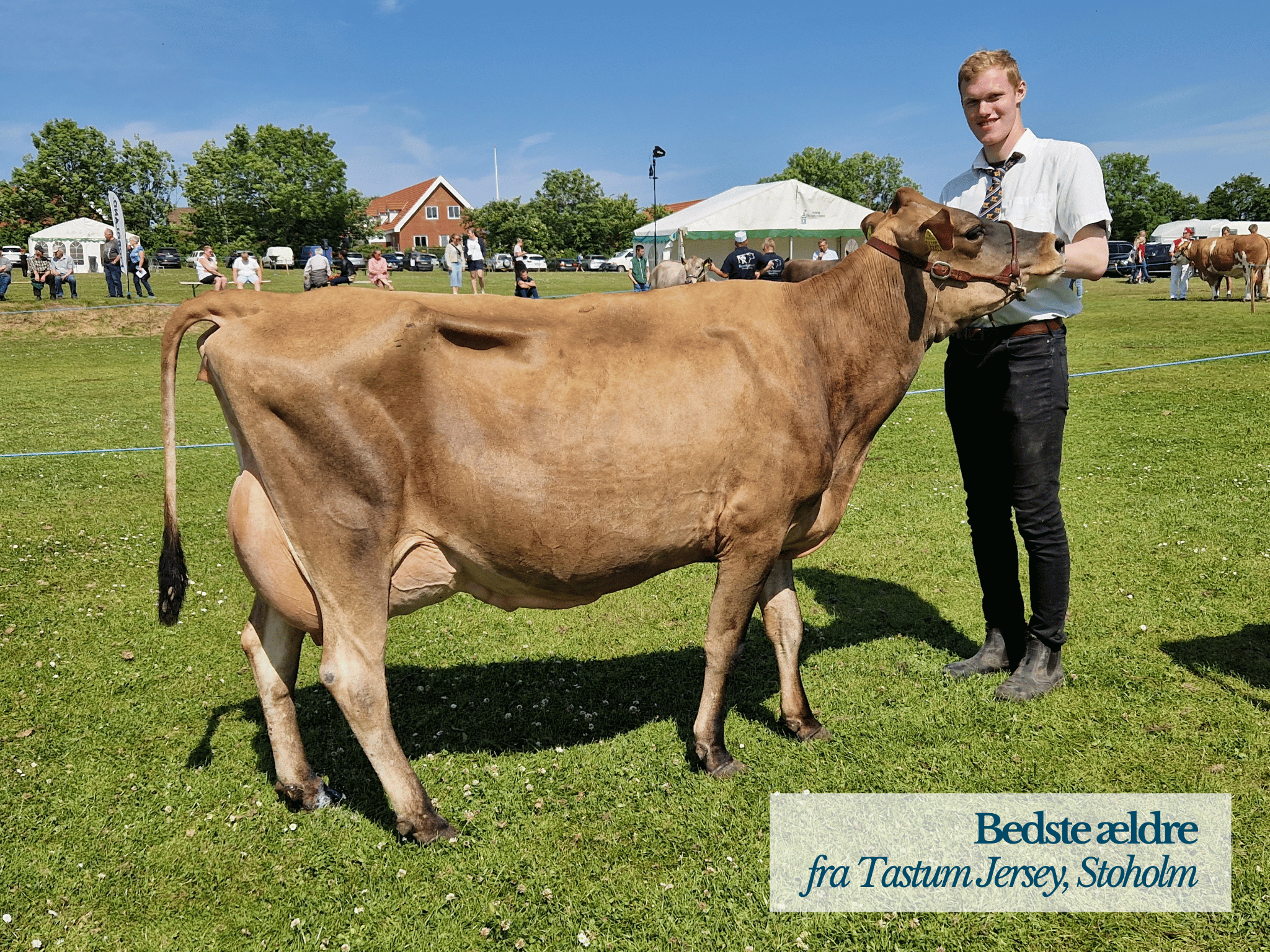 Bedste Ældre, Thy Mors Dyrskue 2025