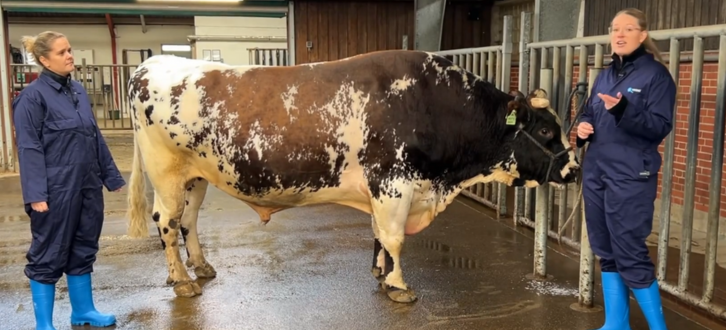 Kristina Og Sarah Med VR Vesty