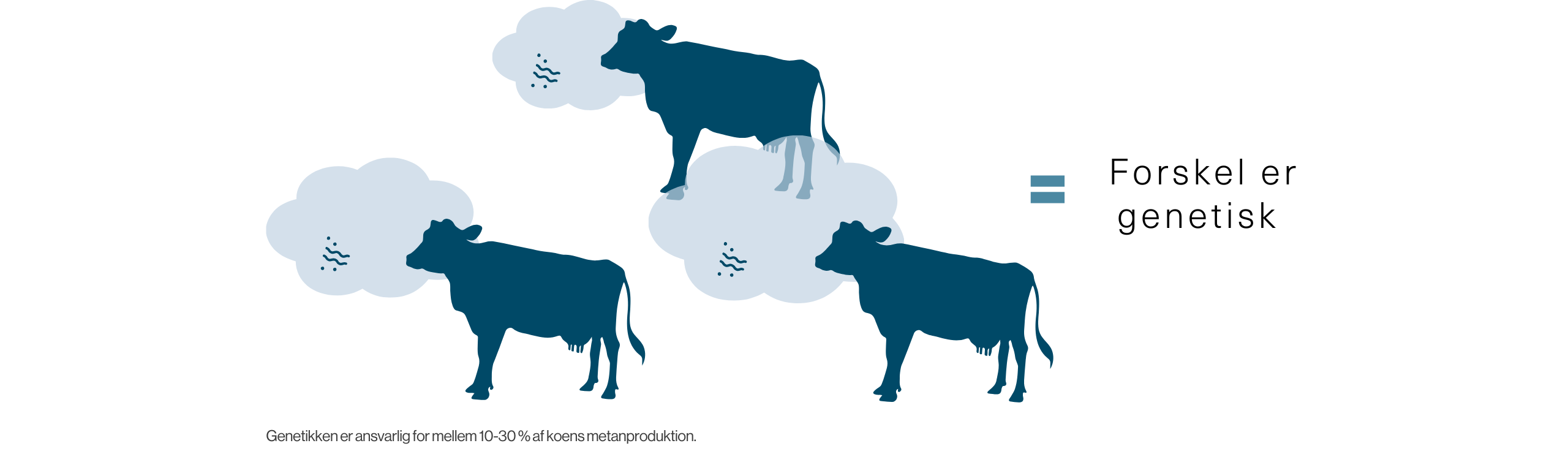 Genetikken Er Ansvarlig For Mellem 10 og 30 % Af Koens Metanproduktion.