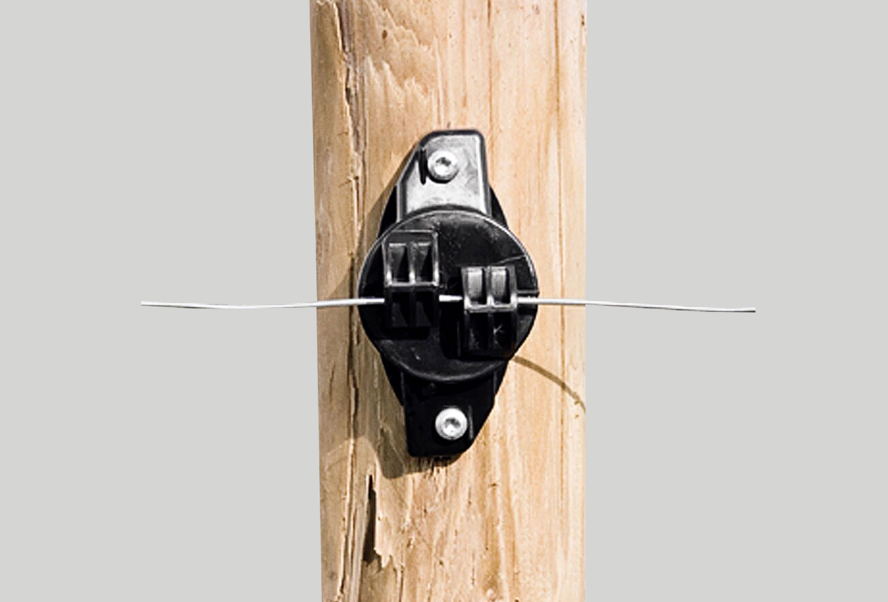 101662 Type W 175 Web