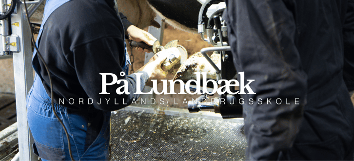 Klovbeskæringskursus På Lundbæk