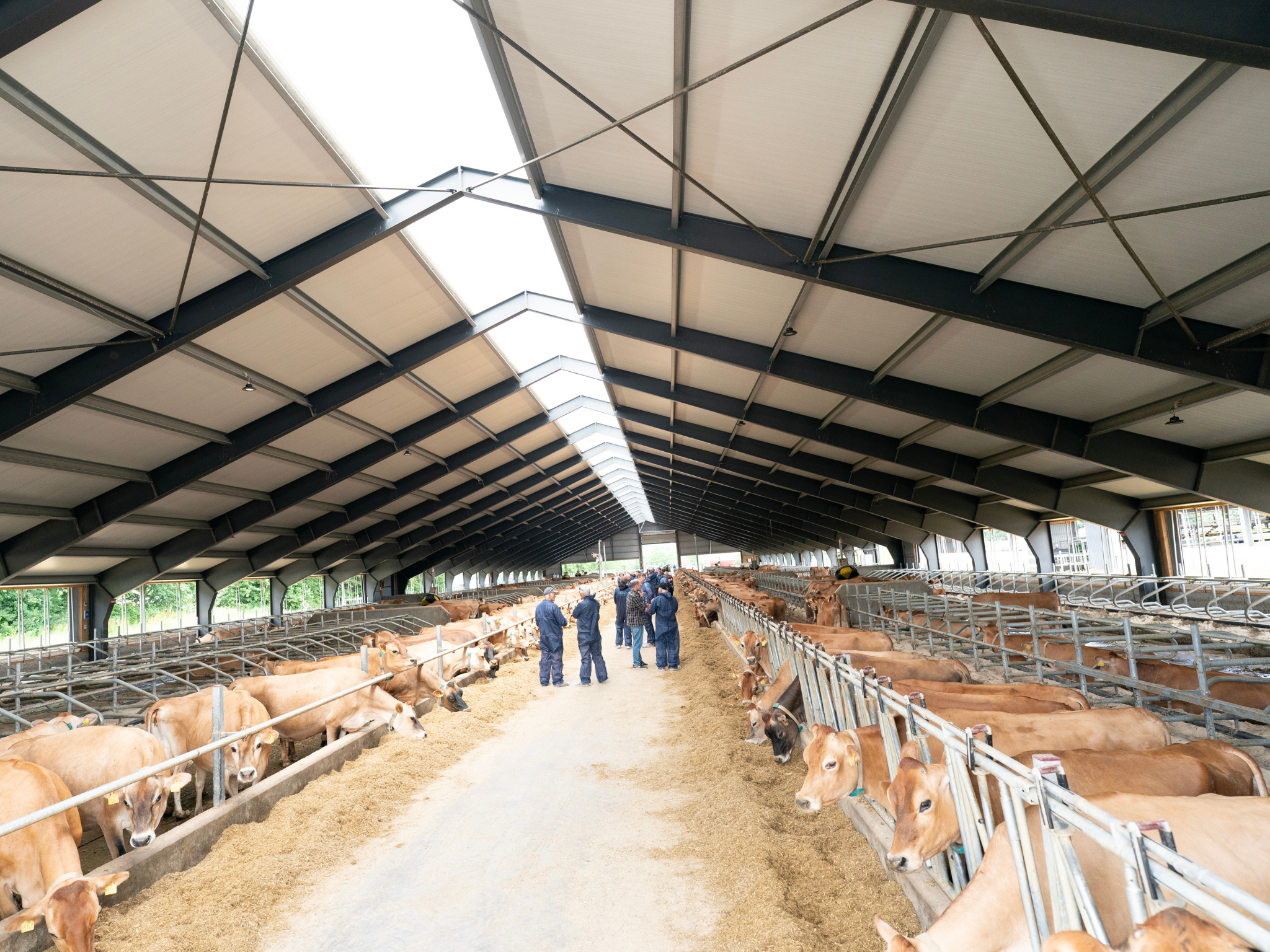 Jersey Verdenskongres 10