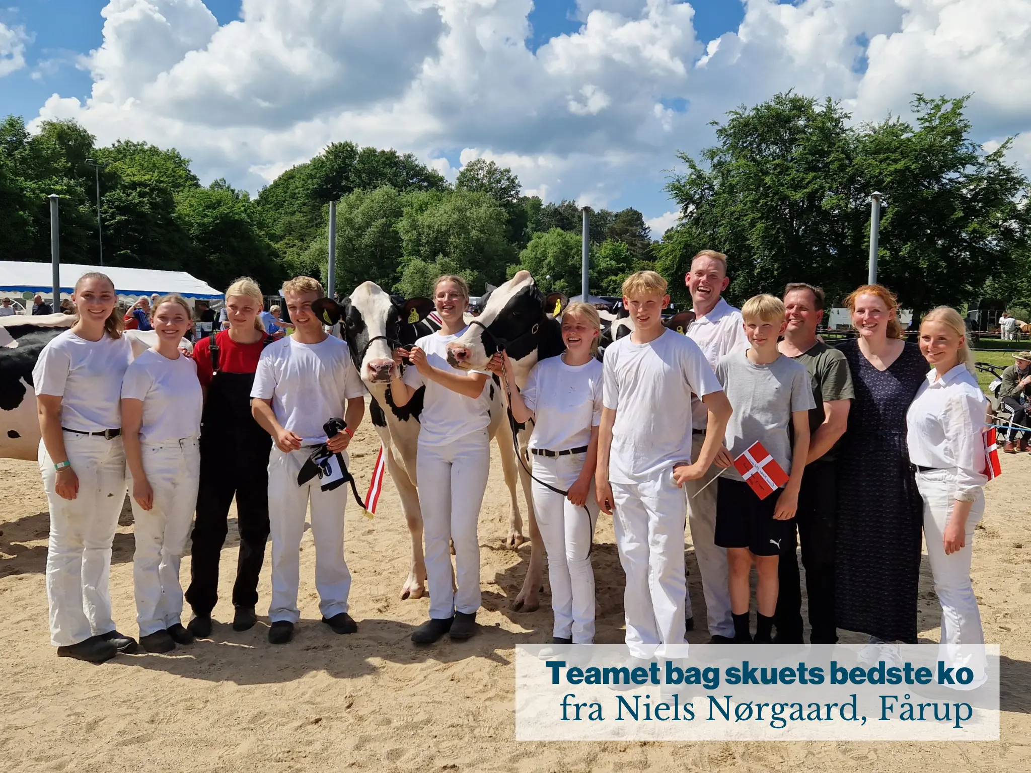 Teamet Bag Skuets Bedste Ko