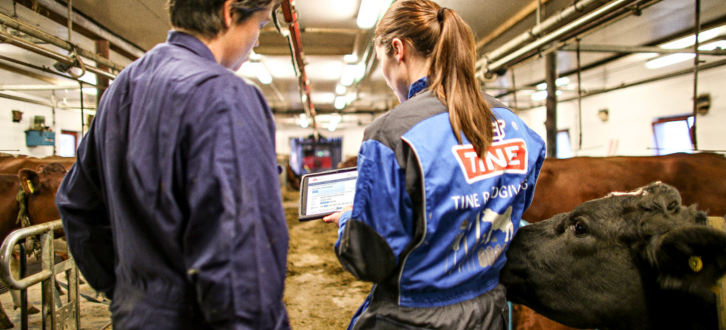 TINE Rådgiver, Der Bruger Simherd I Stalden