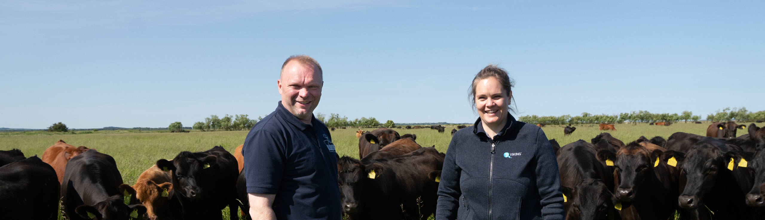 Da Det Gik Op For Mig