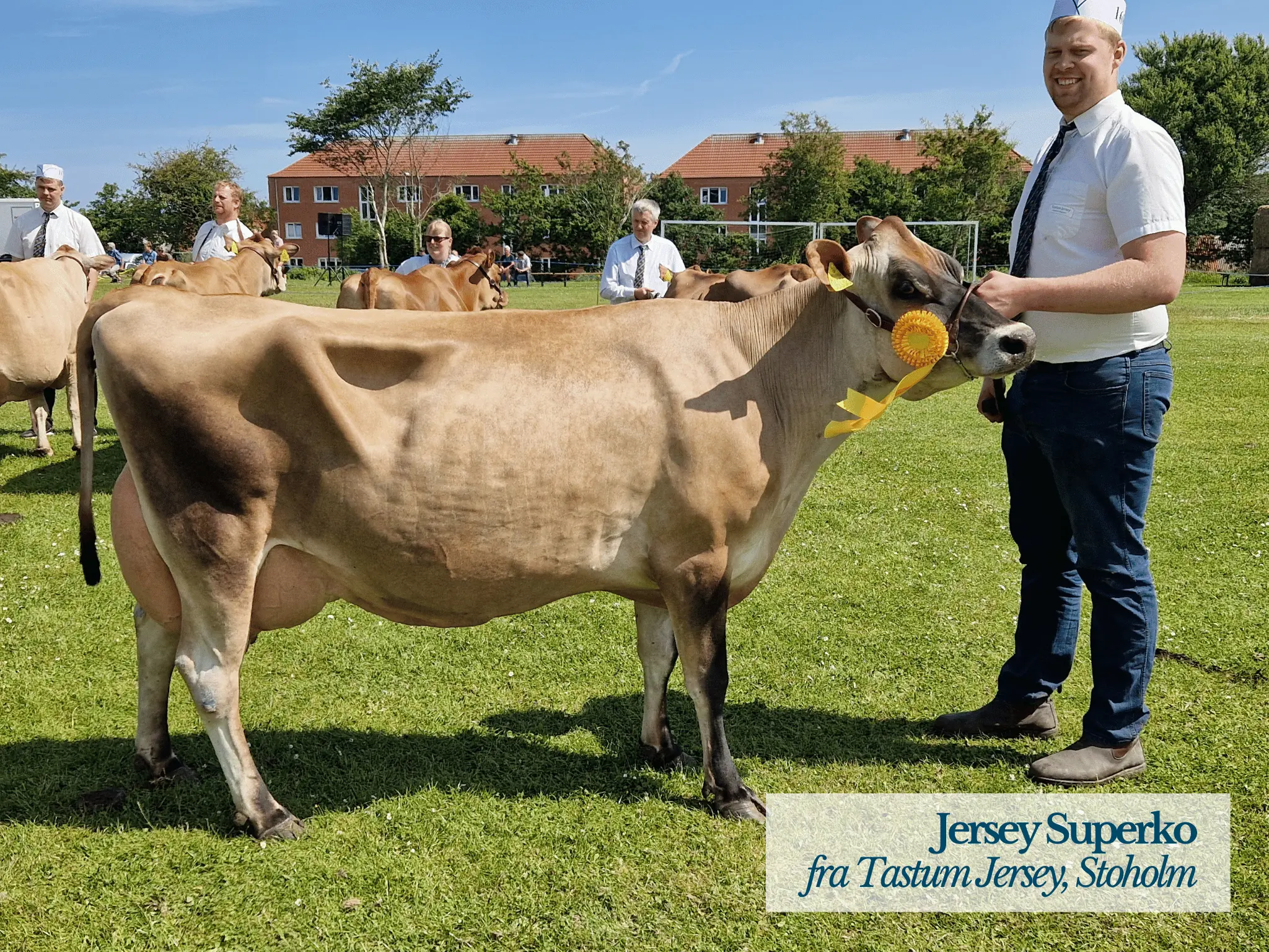 Jersey Superko, Thy Mors Dyrskue 2025