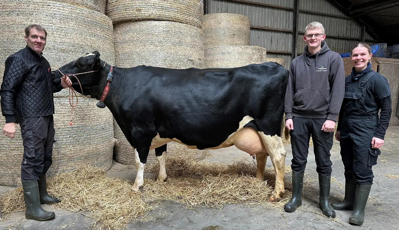 Esper Agger, Ko Nr. 06223, Medhjælpere Niels Og Mette