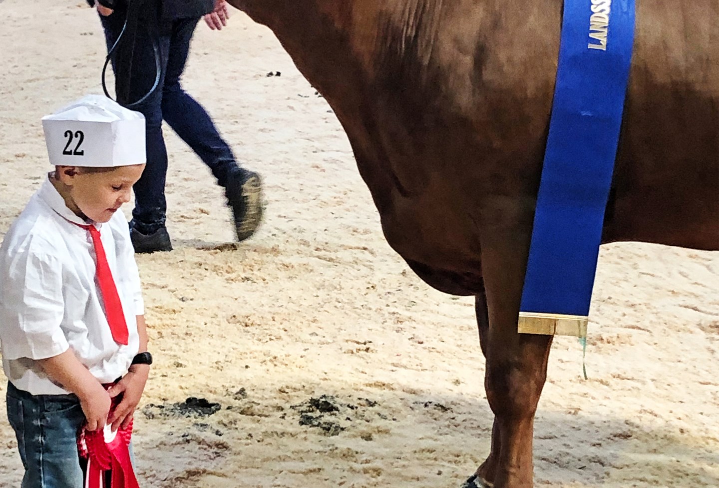 Img 4191 Srgb Web Bruno Kousgaards Søn