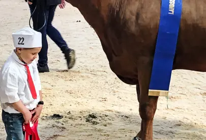 Img 4191 Srgb Web Bruno Kousgaards Søn