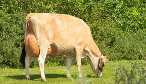 Hero 8 Aug Vj Haley Daughter No 5598202283 From Sønderfenner Ribe Scenic01