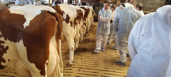 Copy Of Billede Til Reference (1)