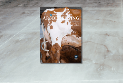 Årsberetning 2025 Forsiden (1)