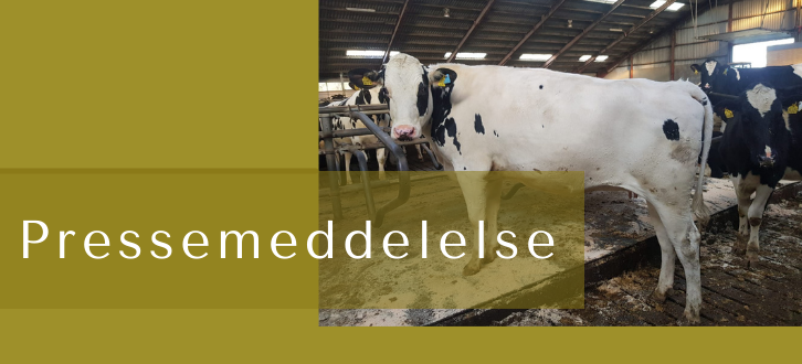 ARTICLE ENTRY TYR (1) (2)