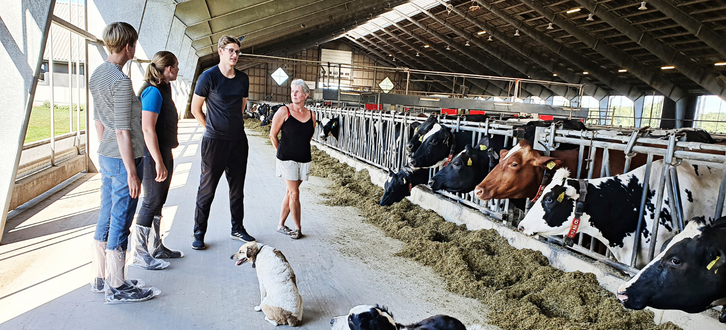 Copy Of Billede Til Reference (7)