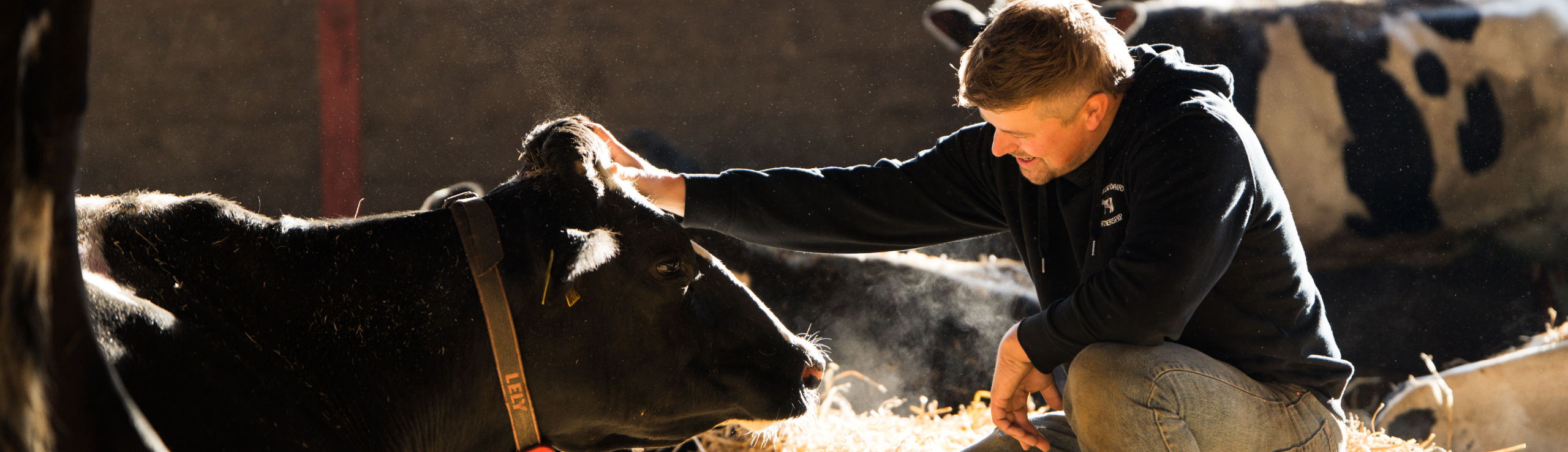 Nye Avlsværdital For Temperament Lang