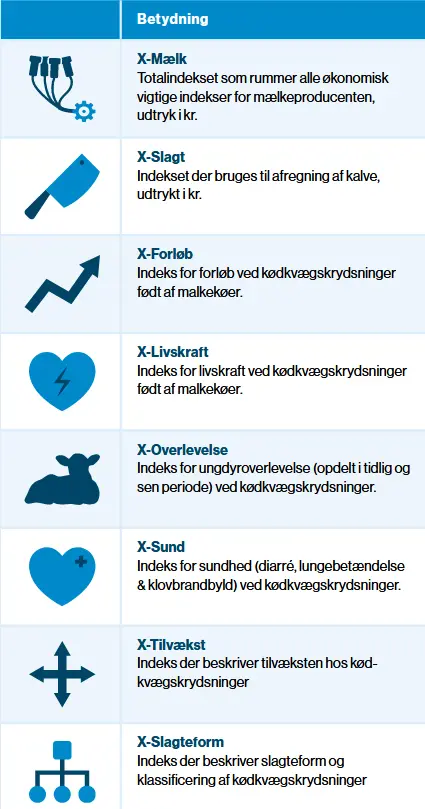 2021 03 18 81920 Vikingnyt 1 2021