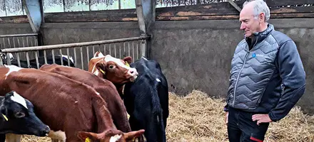 Vagn Christensen 1 Web Oversigt