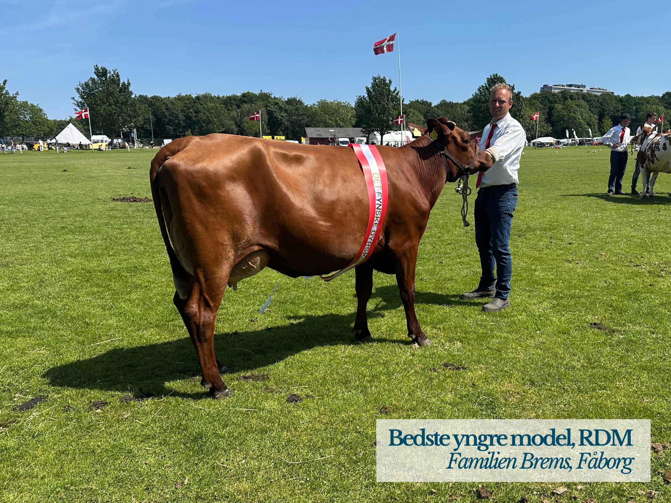RDM Yngre Model, Familien Brems, Fåborg