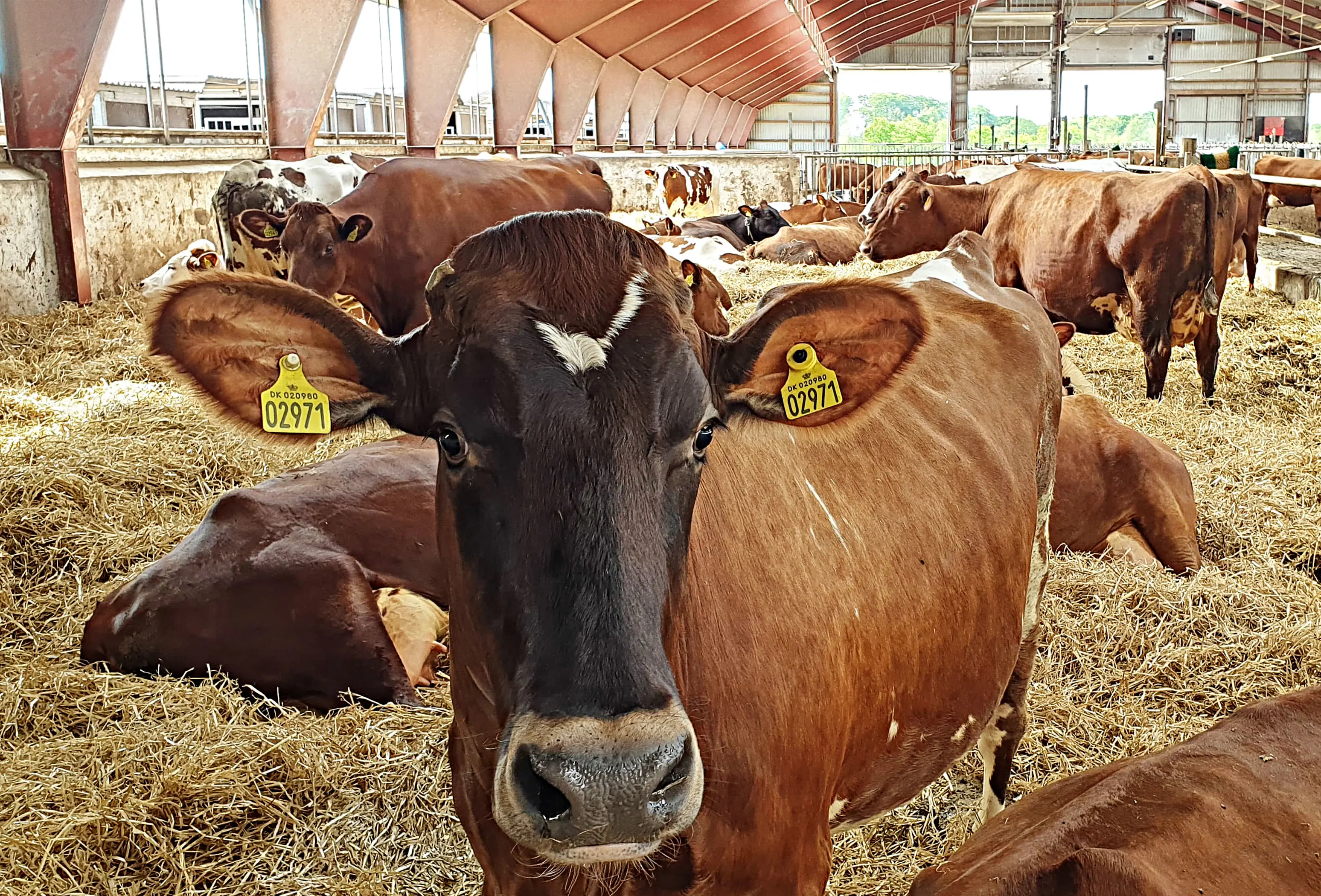 101824402 598088244145342 6140455906334212096