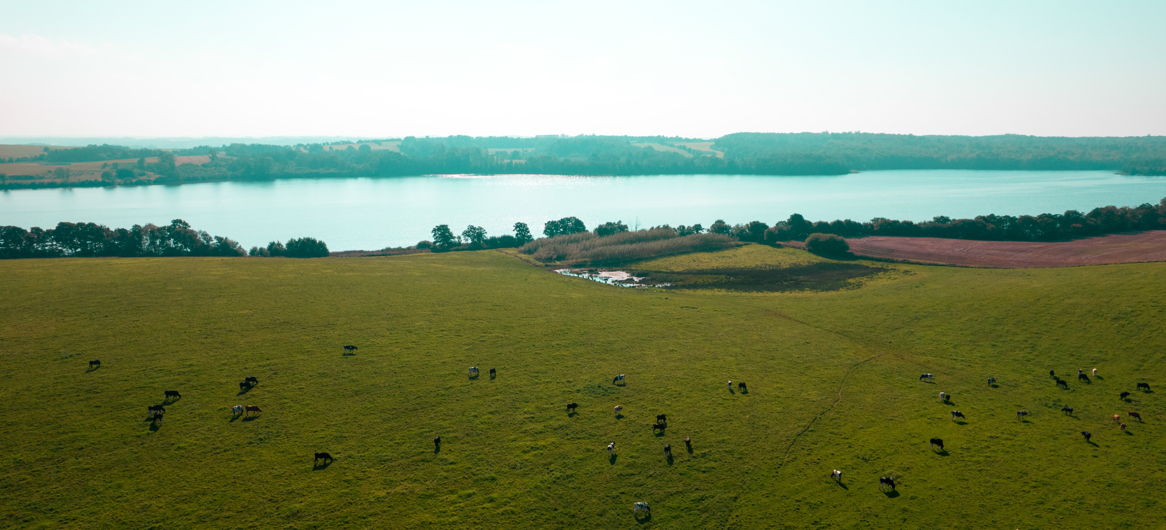 Article Entry Spotreference Image (726X330 Px)