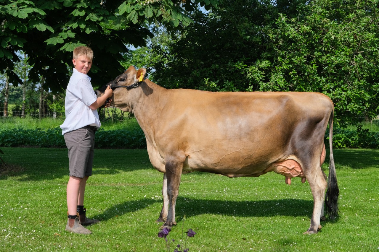 4C724D8B 413D 47E7 B476 136C6CE435D9